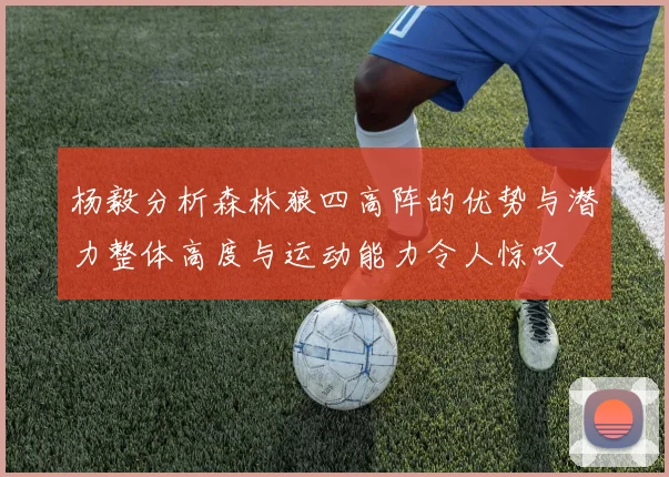 杨毅分析森林狼四高阵的优势与潜力整体高度与运动能力令人惊叹