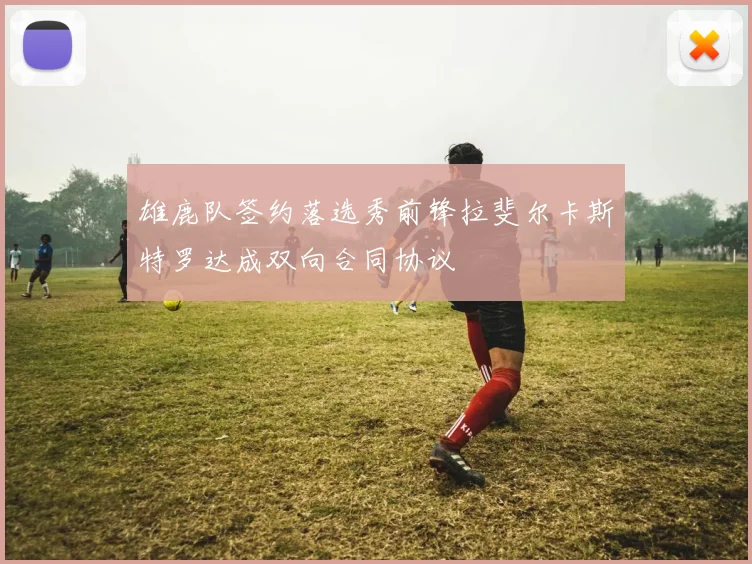 雄鹿队签约落选秀前锋拉斐尔卡斯特罗达成双向合同协议