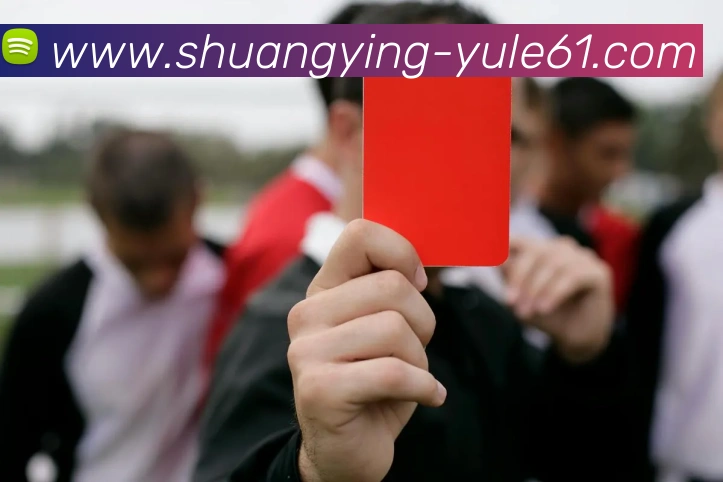 双赢娱乐平台生态图
